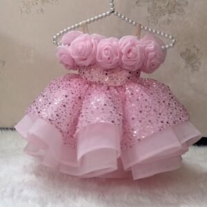 Baby Girl Party Frock